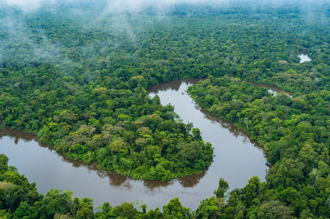 Anhanga: The Shapeshifting Spirit of the Amazon